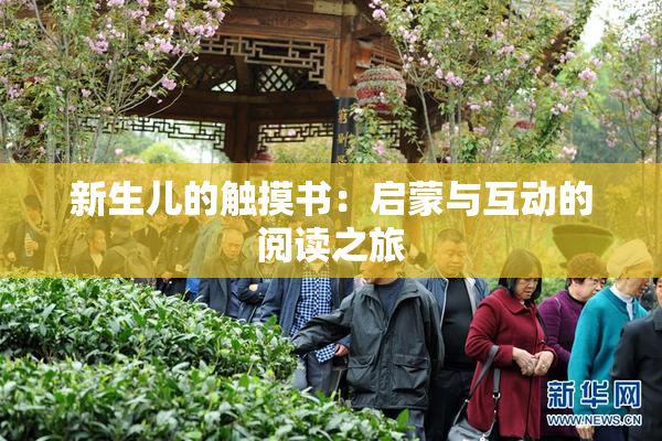 新生儿的触摸书：启蒙与互动的阅读之旅