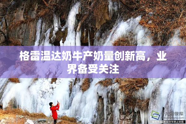 格雷温达奶牛产奶量创新高，业界备受关注