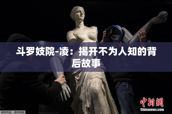 斗罗妓院-凌：揭开不为人知的背后故事