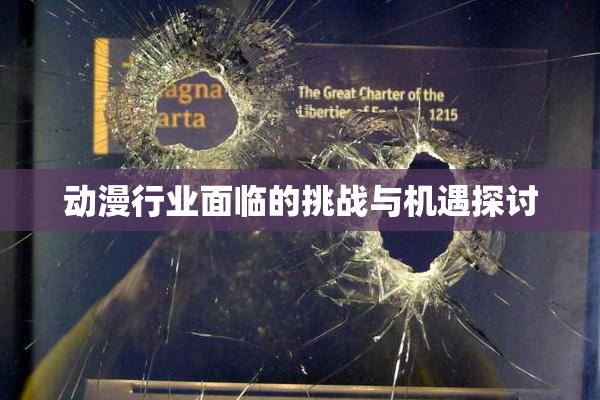 动漫行业面临的挑战与机遇探讨