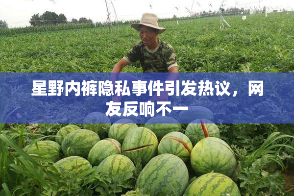 星野内裤隐私事件引发热议，网友反响不一