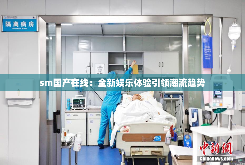 sm国产在线：全新娱乐体验引领潮流趋势