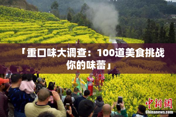 「重口味大调查：100道美食挑战你的味蕾」