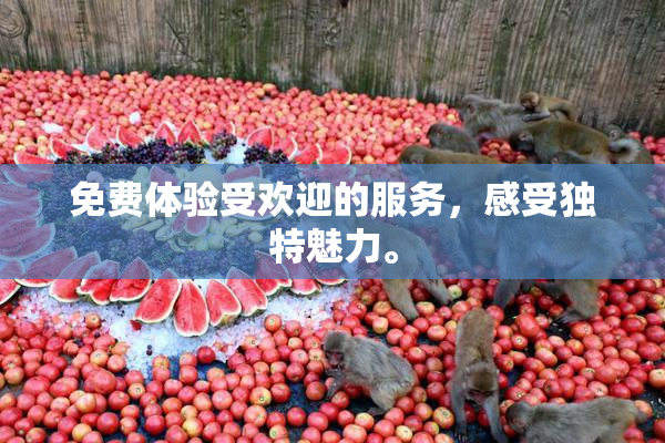 免费体验受欢迎的服务，感受独特魅力。