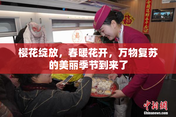 樱花绽放，春暖花开，万物复苏的美丽季节到来了