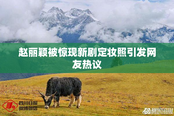 赵丽颖被惊现新剧定妆照引发网友热议