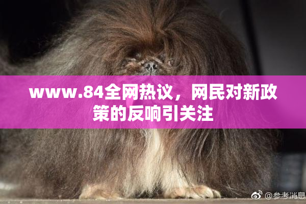 www.84全网热议，网民对新政策的反响引关注