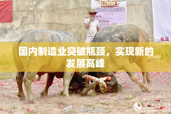 国内制造业突破瓶颈，实现新的发展高峰