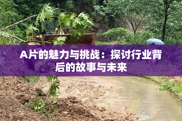 A片的魅力与挑战：探讨行业背后的故事与未来