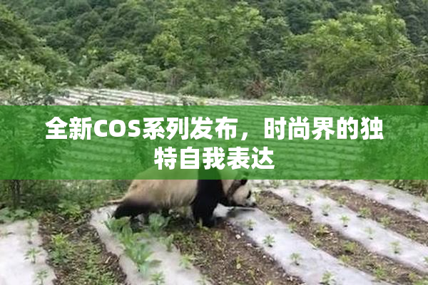 全新COS系列发布，时尚界的独特自我表达