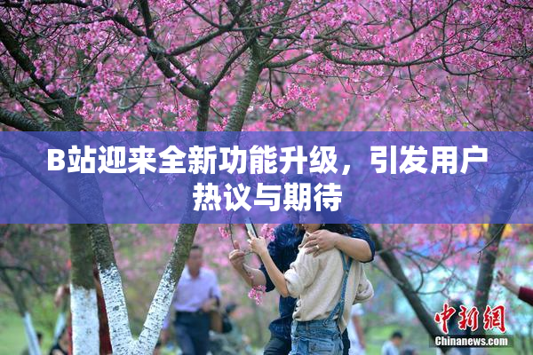 B站迎来全新功能升级，引发用户热议与期待
