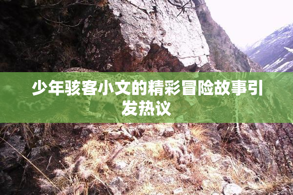少年骇客小文的精彩冒险故事引发热议