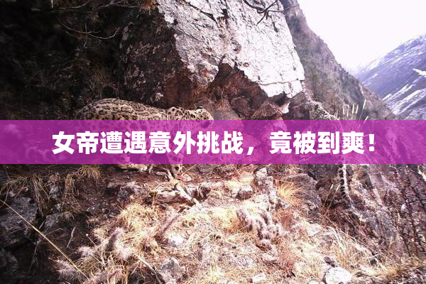 女帝遭遇意外挑战，竟被到爽！