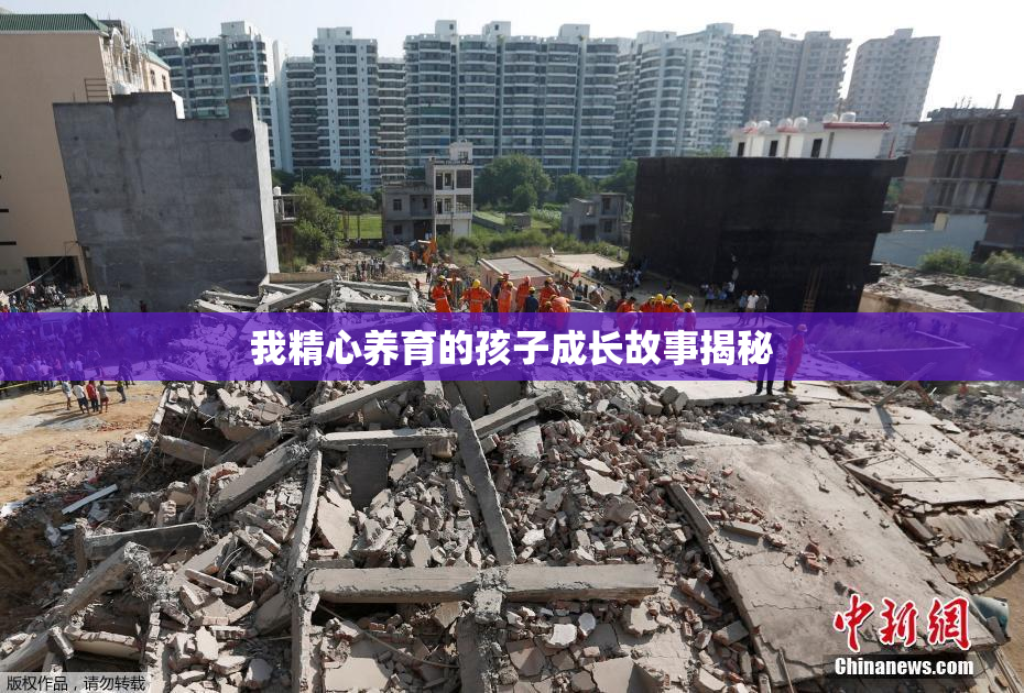 我精心养育的孩子成长故事揭秘