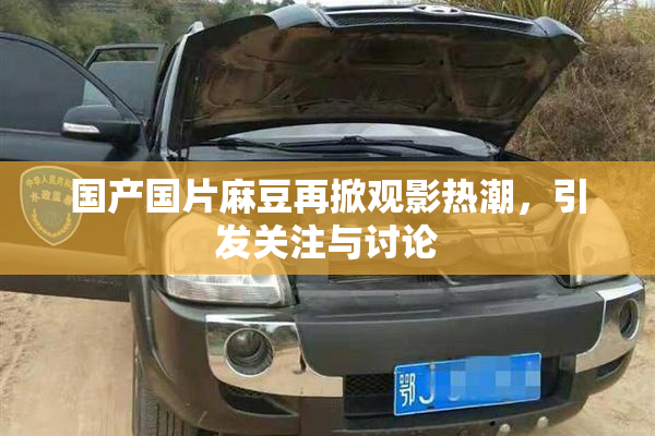 国产国片麻豆再掀观影热潮，引发关注与讨论