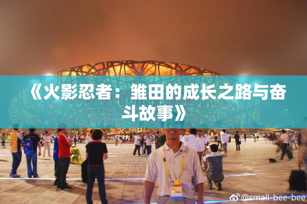 《火影忍者：雏田的成长之路与奋斗故事》