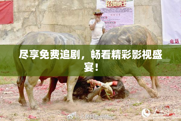 尽享免费追剧，畅看精彩影视盛宴！