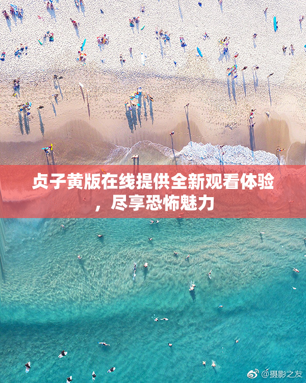 贞子黄版在线提供全新观看体验，尽享恐怖魅力