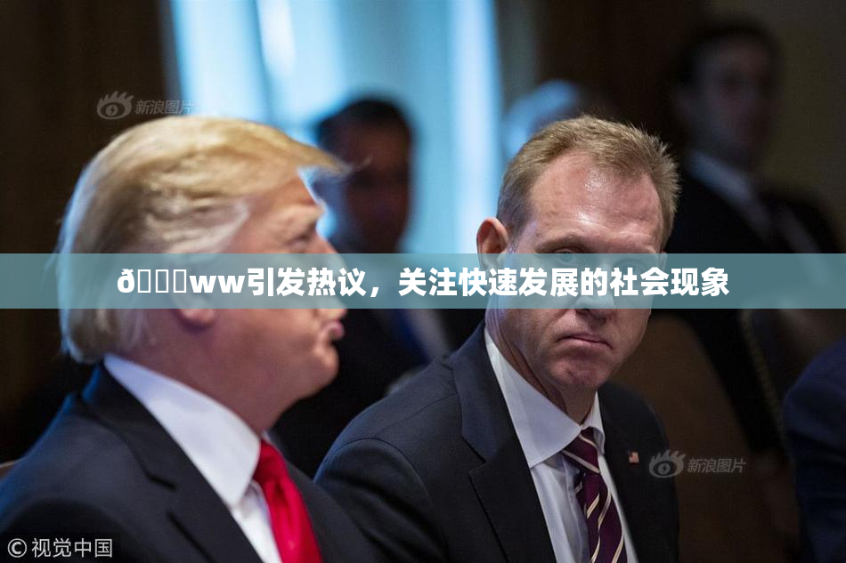 🔞ww引发热议，关注快速发展的社会现象