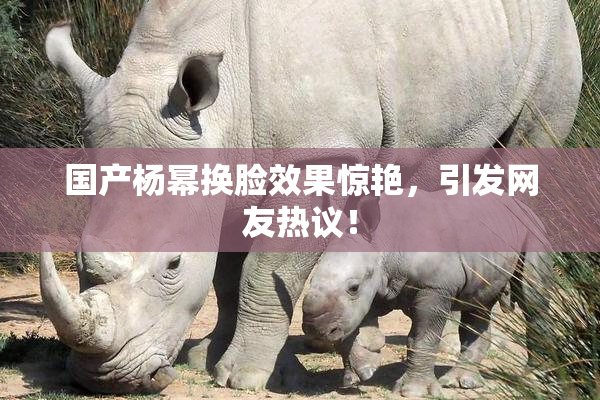 国产杨幂换脸效果惊艳，引发网友热议！
