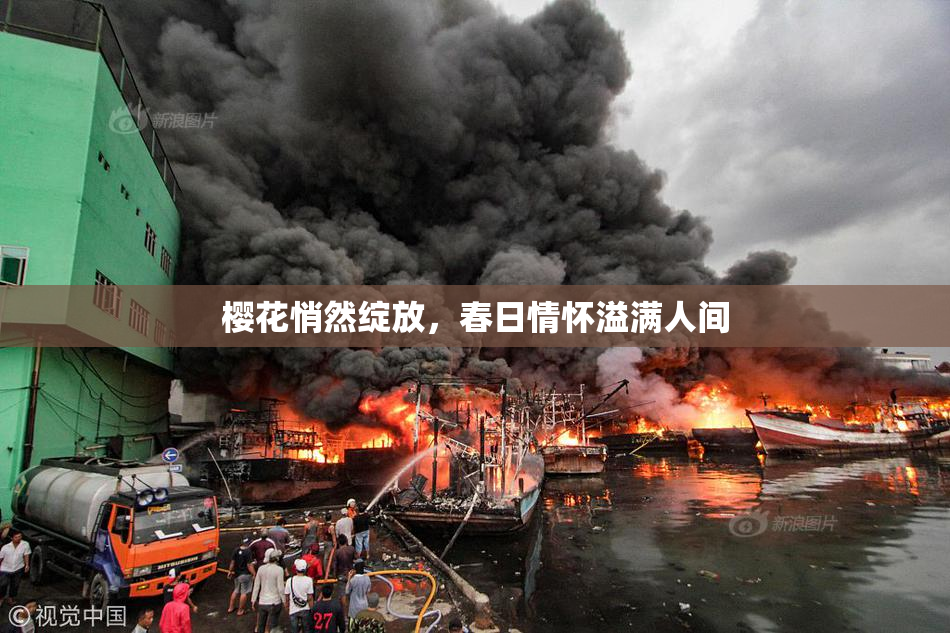 樱花悄然绽放，春日情怀溢满人间