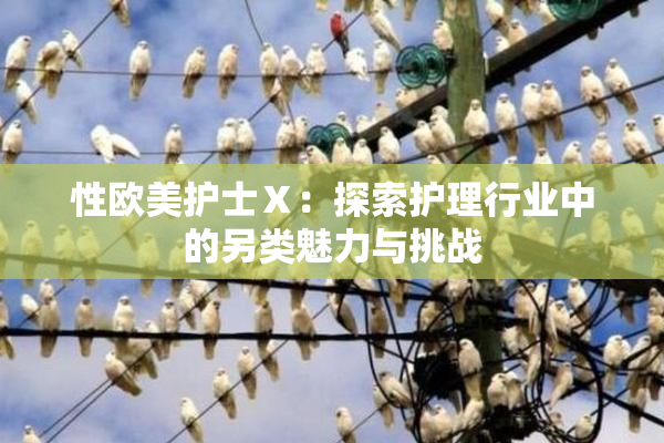 性欧美护士Ⅹ：探索护理行业中的另类魅力与挑战