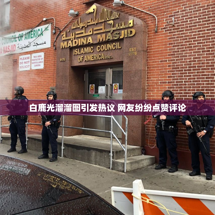 白鹿光溜溜图引发热议 网友纷纷点赞评论
