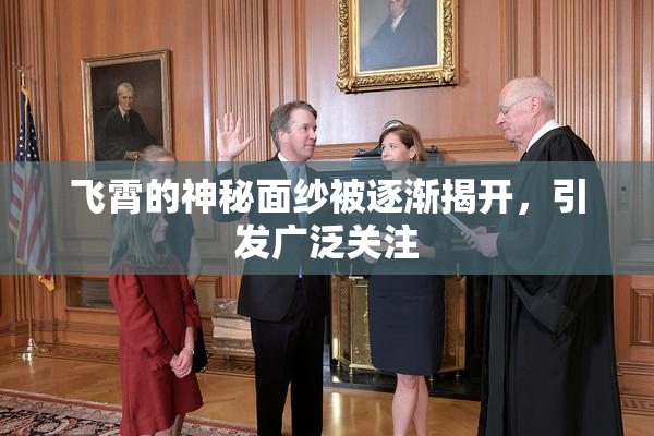 飞霄的神秘面纱被逐渐揭开，引发广泛关注