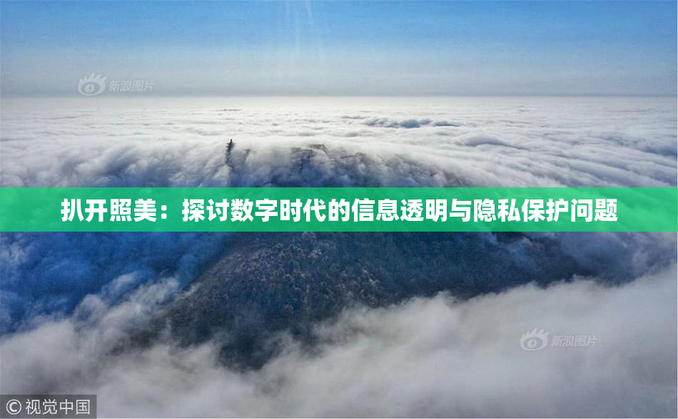 扒开照美：探讨数字时代的信息透明与隐私保护问题