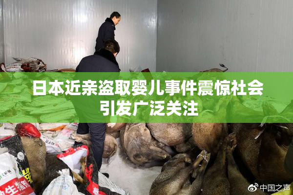 日本近亲盗取婴儿事件震惊社会 引发广泛关注