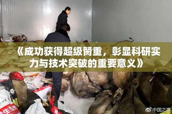 《成功获得超级胬重，彰显科研实力与技术突破的重要意义》