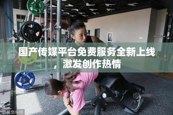 国产传媒平台免费服务全新上线，激发创作热情
