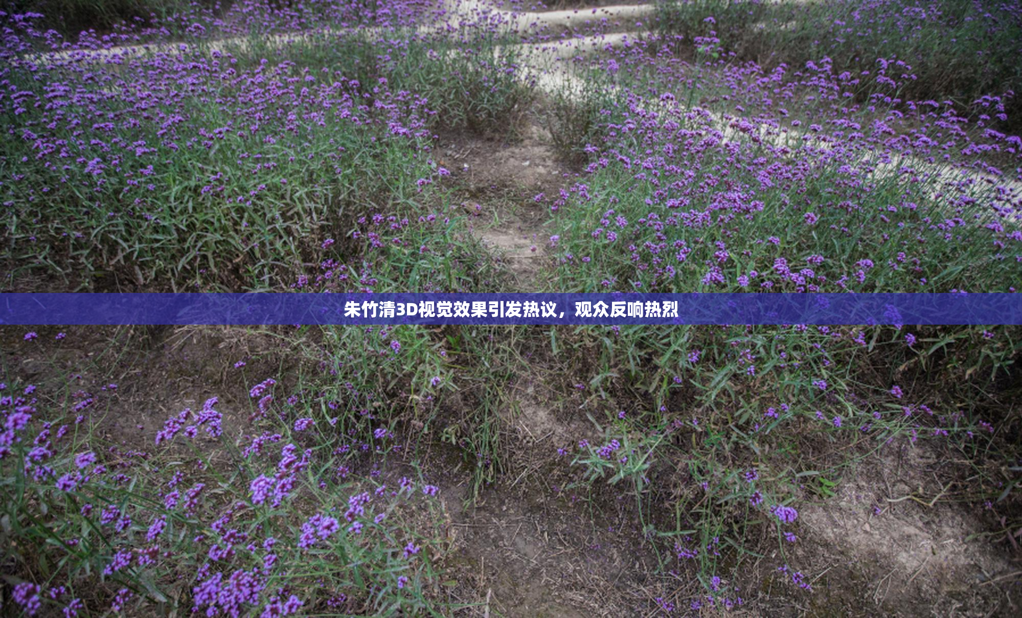 朱竹清3D视觉效果引发热议，观众反响热烈