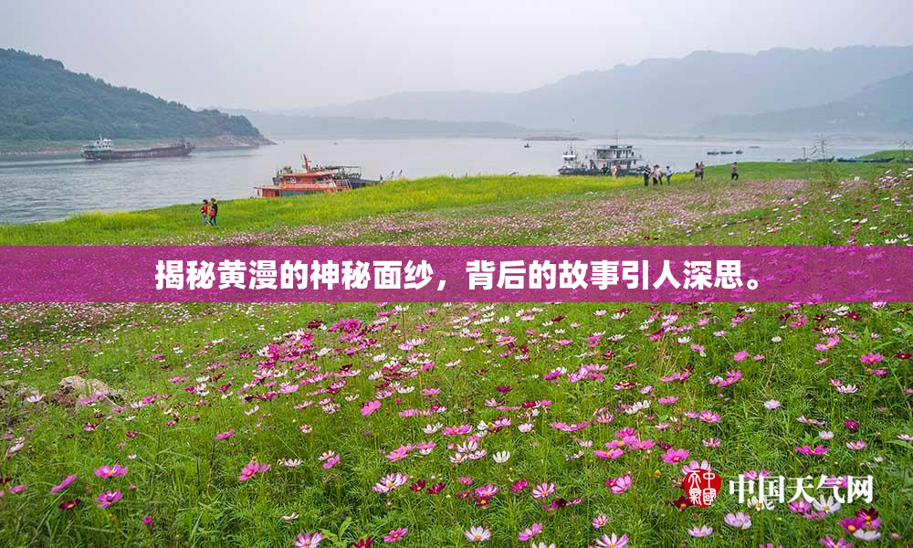 揭秘黄漫的神秘面纱，背后的故事引人深思。