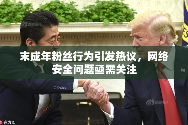 末成年粉丝行为引发热议，网络安全问题亟需关注