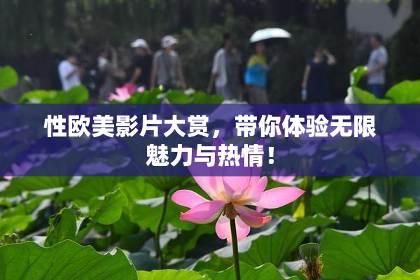 性欧美影片大赏，带你体验无限魅力与热情！