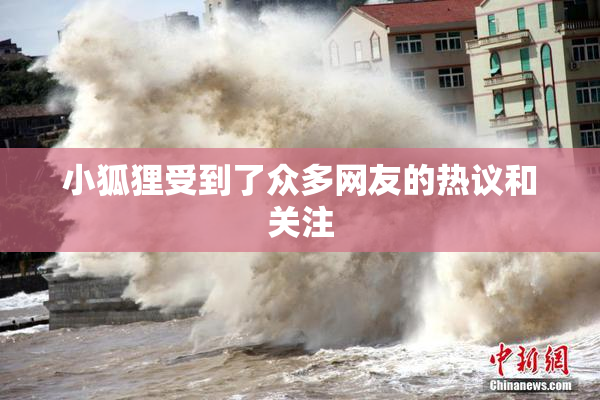 小狐狸受到了众多网友的热议和关注