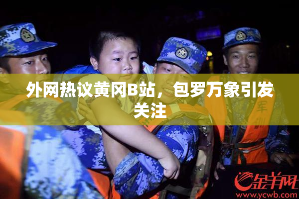 外网热议黄冈B站，包罗万象引发关注
