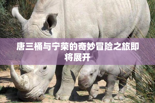 唐三桶与宁荣的奇妙冒险之旅即将展开