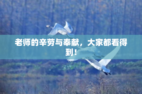 老师的辛劳与奉献，大家都看得到！