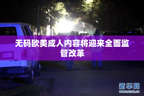 无码欧美成人内容将迎来全面监管改革