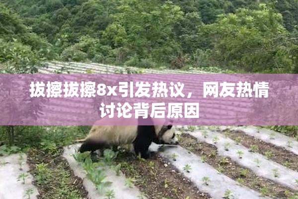 拔擦拔擦8x引发热议，网友热情讨论背后原因