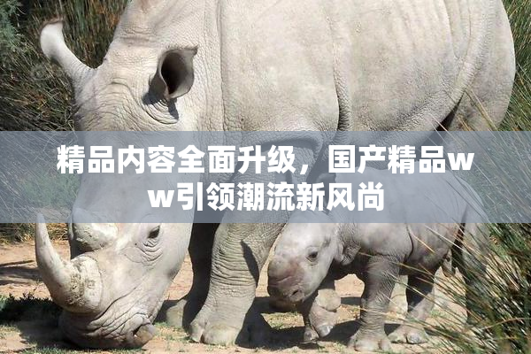 精品内容全面升级，国产精品ww引领潮流新风尚