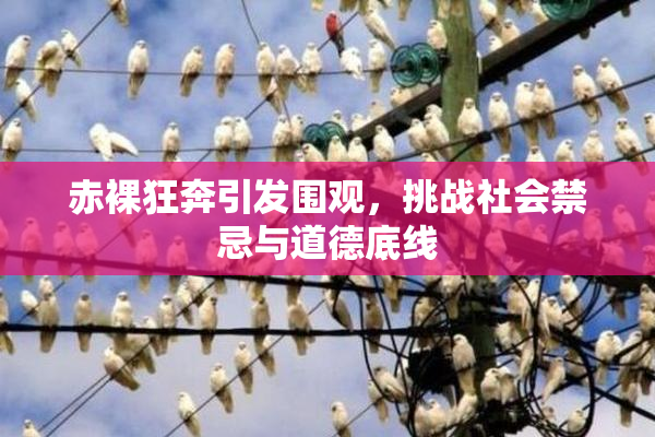赤裸狂奔引发围观，挑战社会禁忌与道德底线