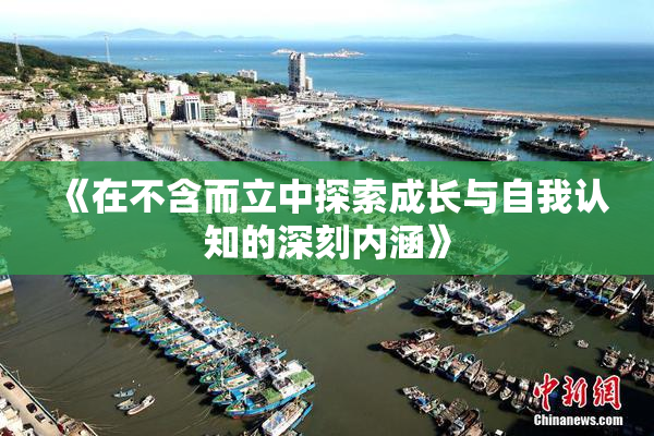 《在不含而立中探索成长与自我认知的深刻内涵》