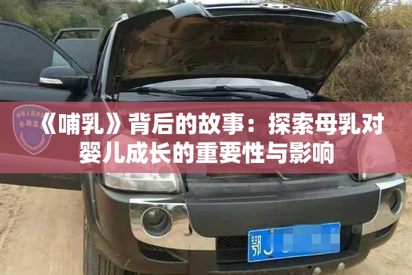《哺乳》背后的故事：探索母乳对婴儿成长的重要性与影响