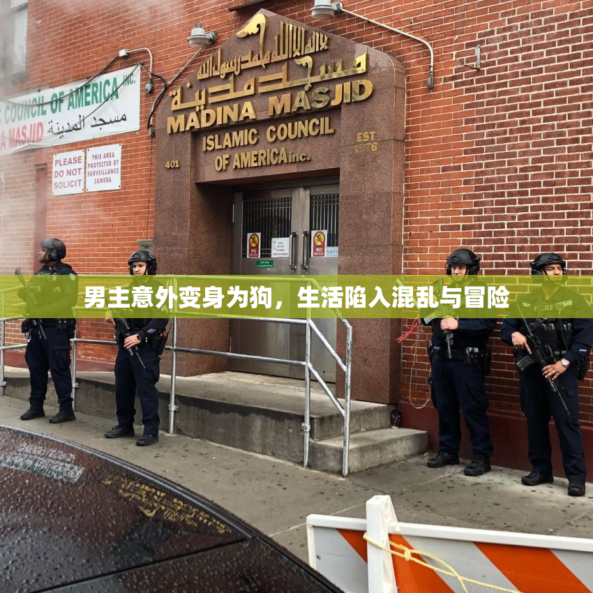男主意外变身为狗，生活陷入混乱与冒险