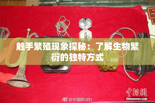 触手繁殖现象探秘：了解生物繁衍的独特方式