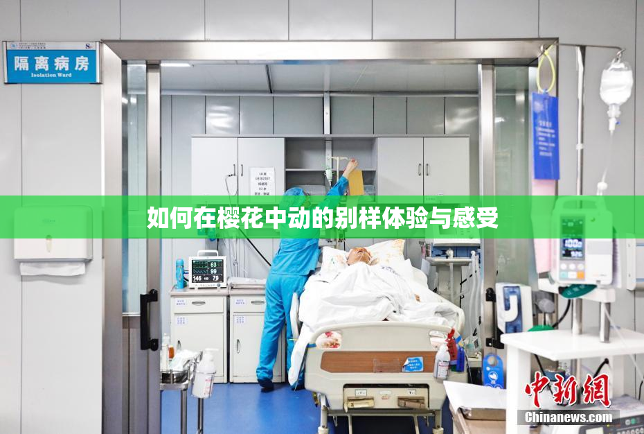 如何在樱花中动的别样体验与感受