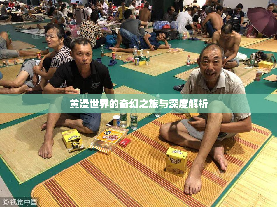 黄漫世界的奇幻之旅与深度解析